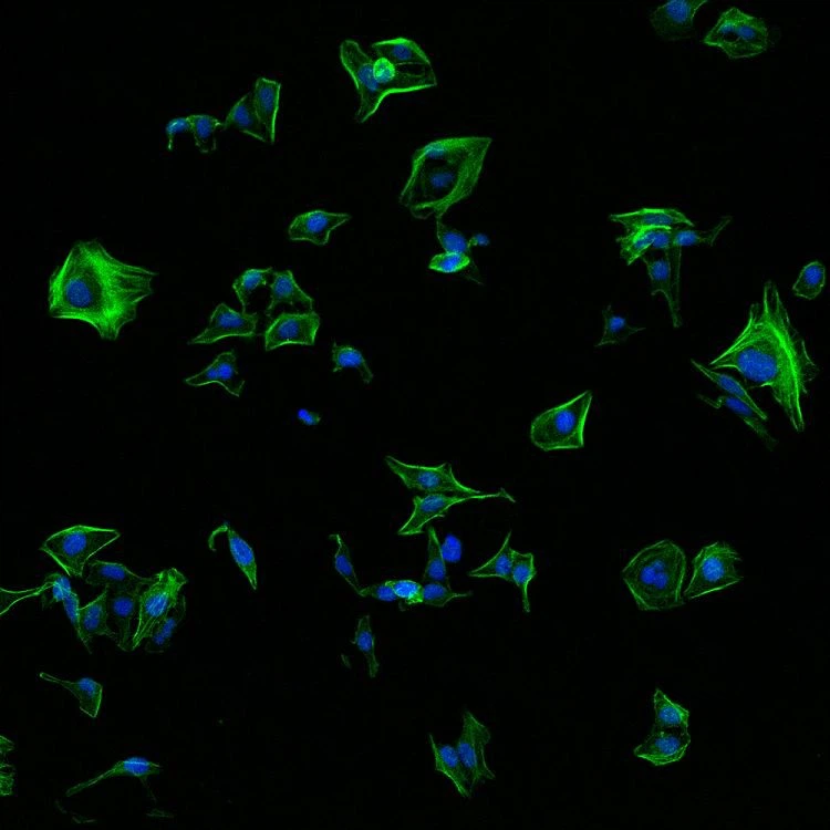 1696646007637gjkJst(001)