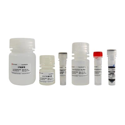 Immunoprecipitatiekit (Eiwit A/G Agarose)